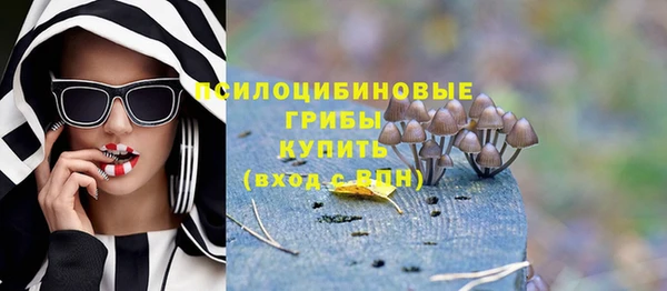 трава Абаза