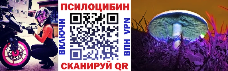 наркота  Дедовск  Галлюциногенные грибы Magic Shrooms 